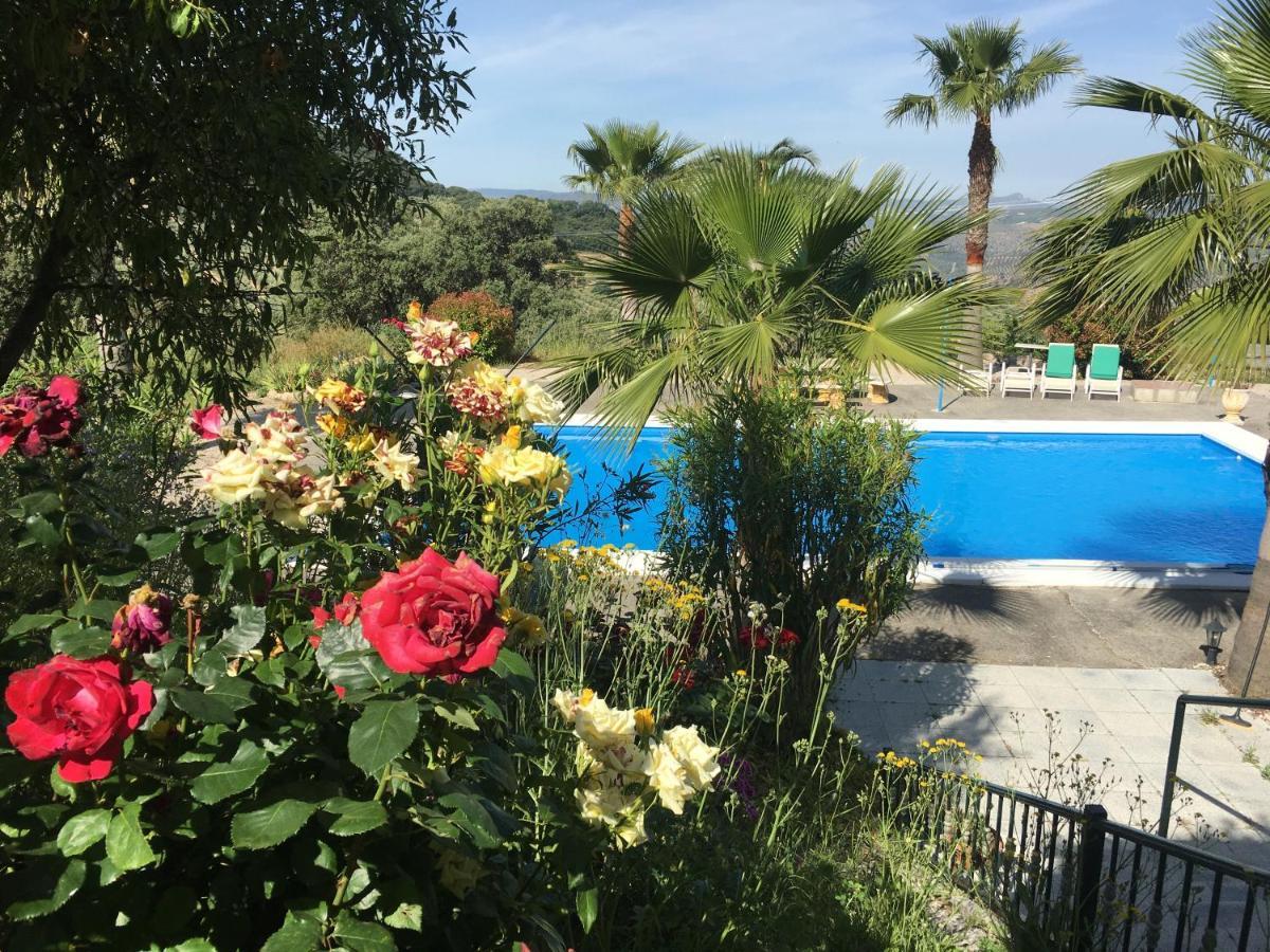La Casita, Zagra Villa La Carrera de la Vina ภายนอก รูปภาพ