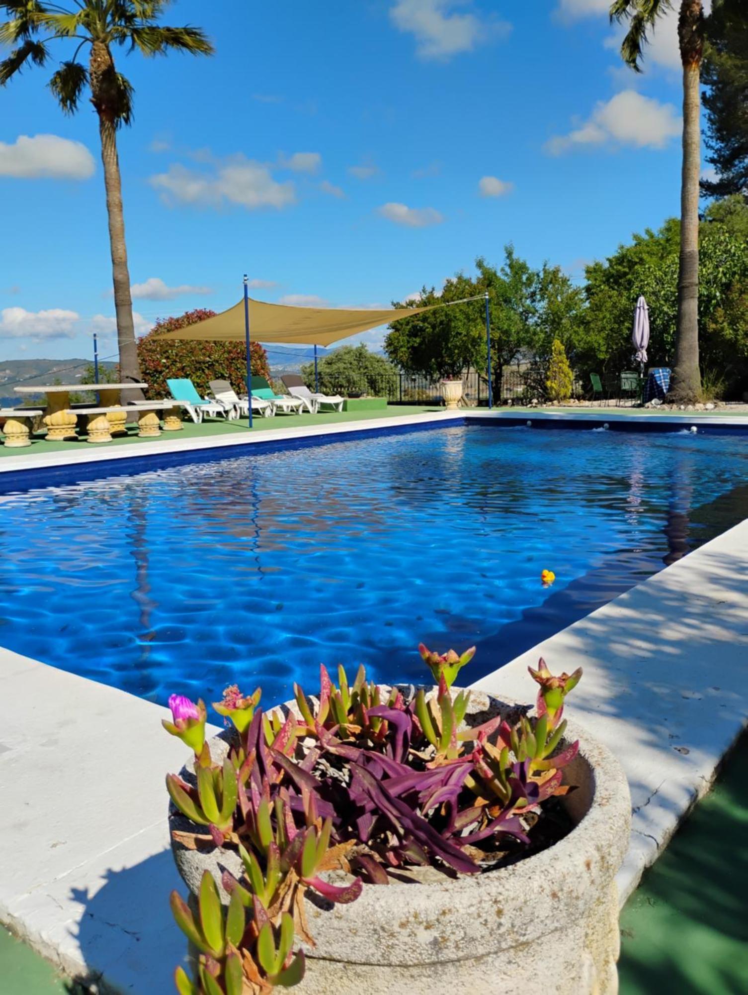 La Casita, Zagra Villa La Carrera de la Vina ภายนอก รูปภาพ