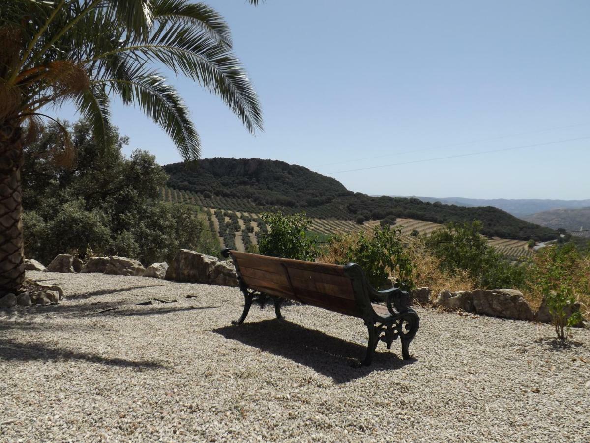 La Casita, Zagra Villa La Carrera de la Vina ภายนอก รูปภาพ