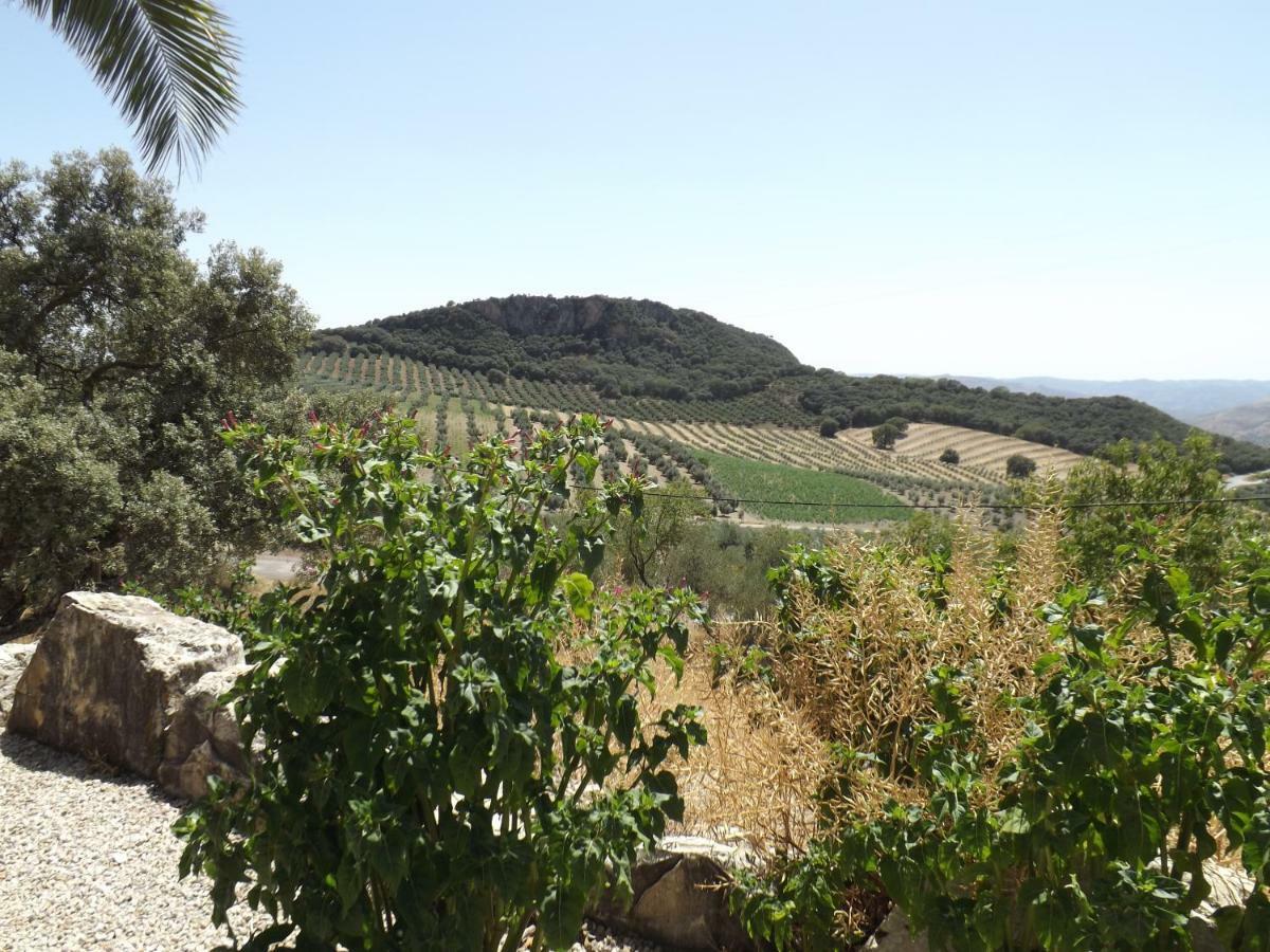 La Casita, Zagra Villa La Carrera de la Vina ภายนอก รูปภาพ