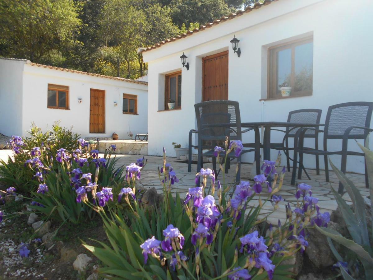 La Casita, Zagra Villa La Carrera de la Vina ภายนอก รูปภาพ